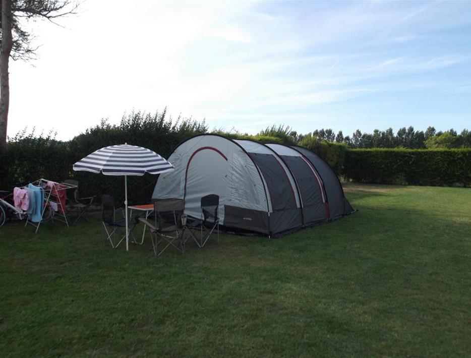 spacious tent pitches delimited by high hedges